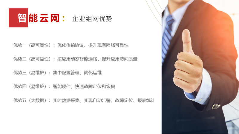 企業(yè)組網(wǎng)-智能云網(wǎng).png